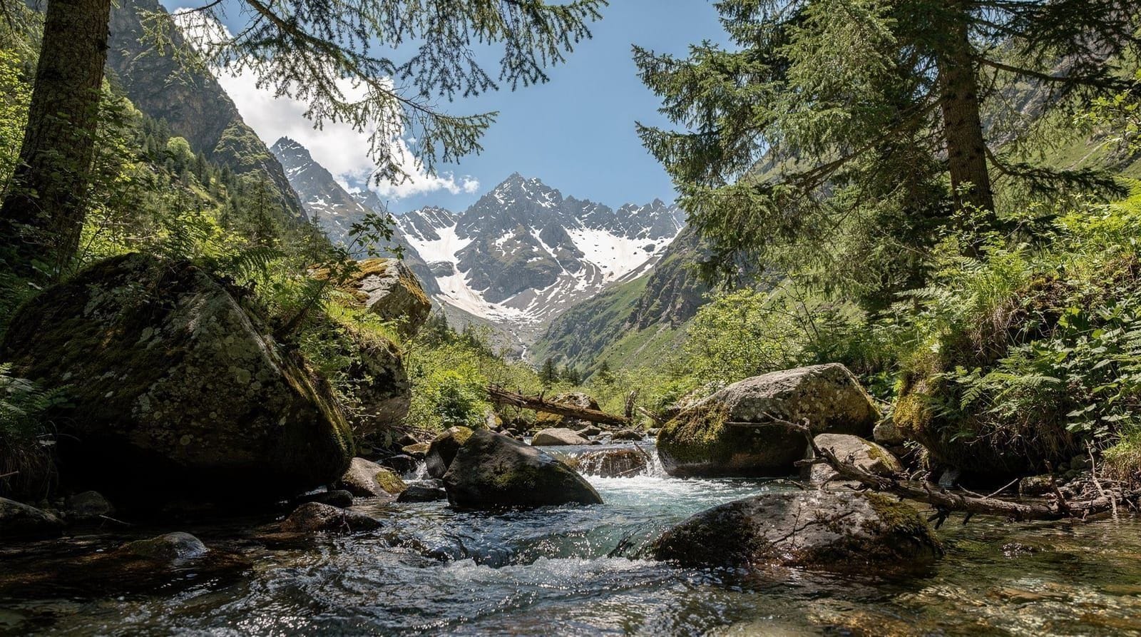 Georgia in summer, and how to escape the heat