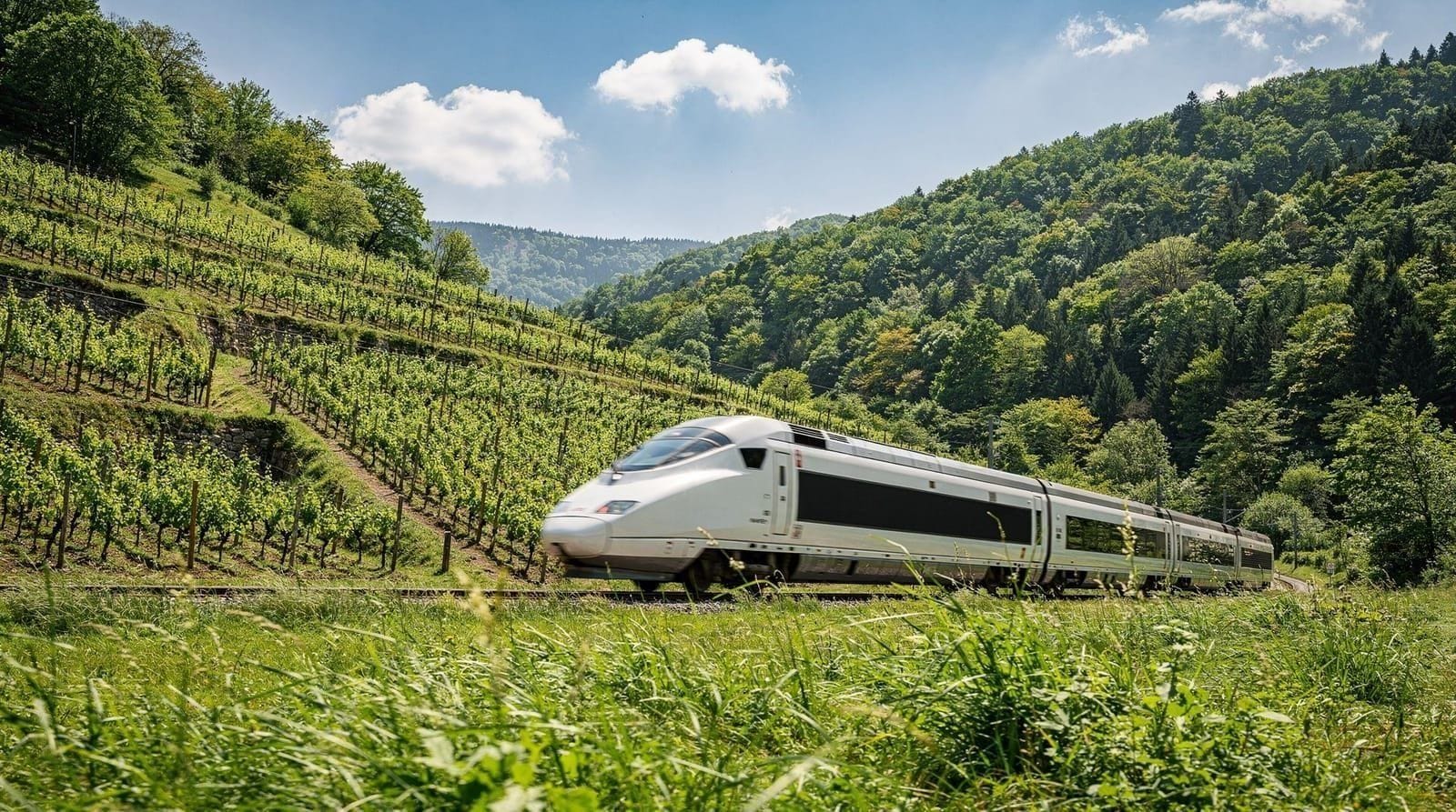 Tbilisi to Batumi: plane, train or road